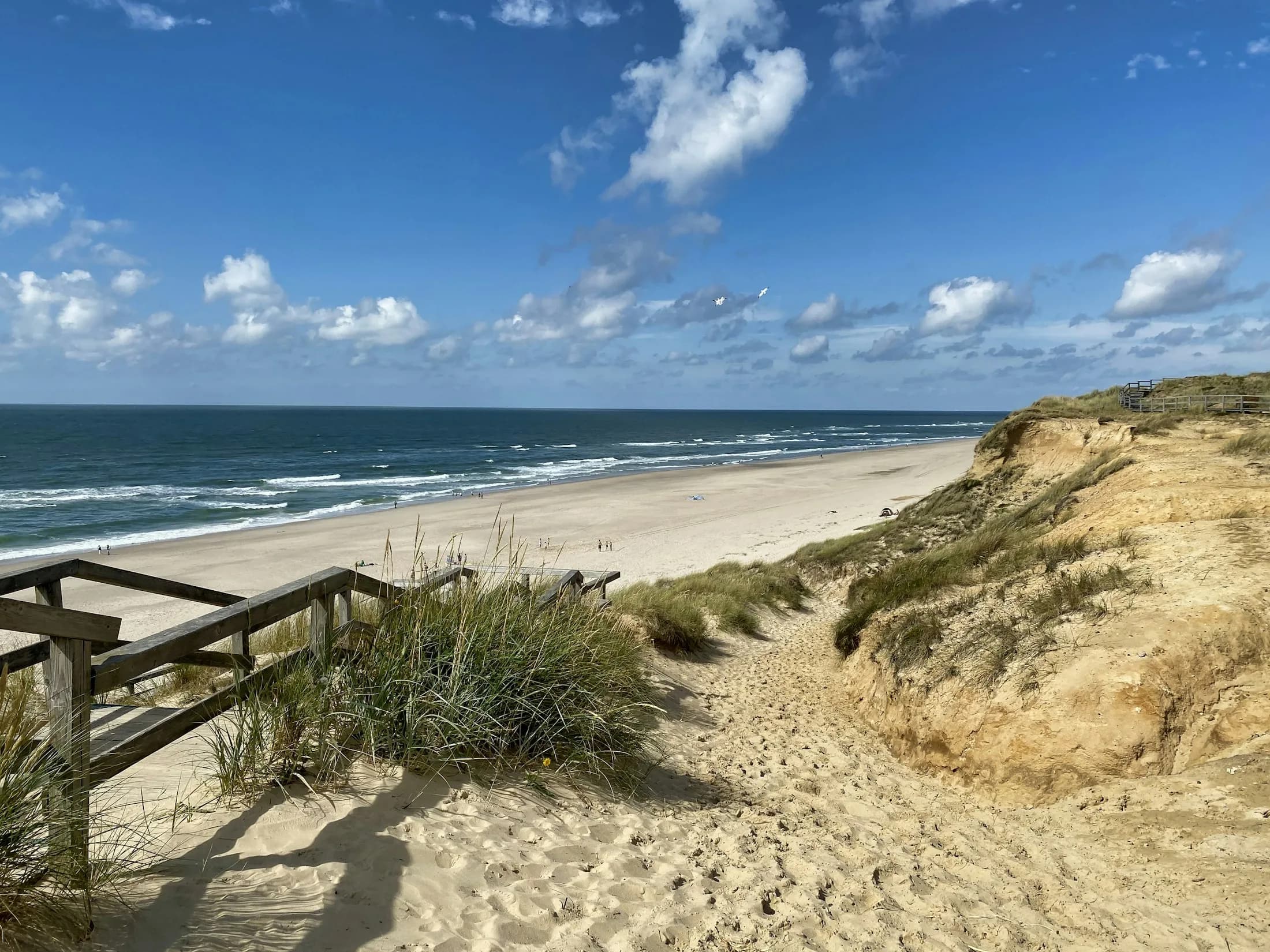Duenenzaun am Strand in Schleswig-Holstein als Hero-Bild fuer den Abiturleitfaden